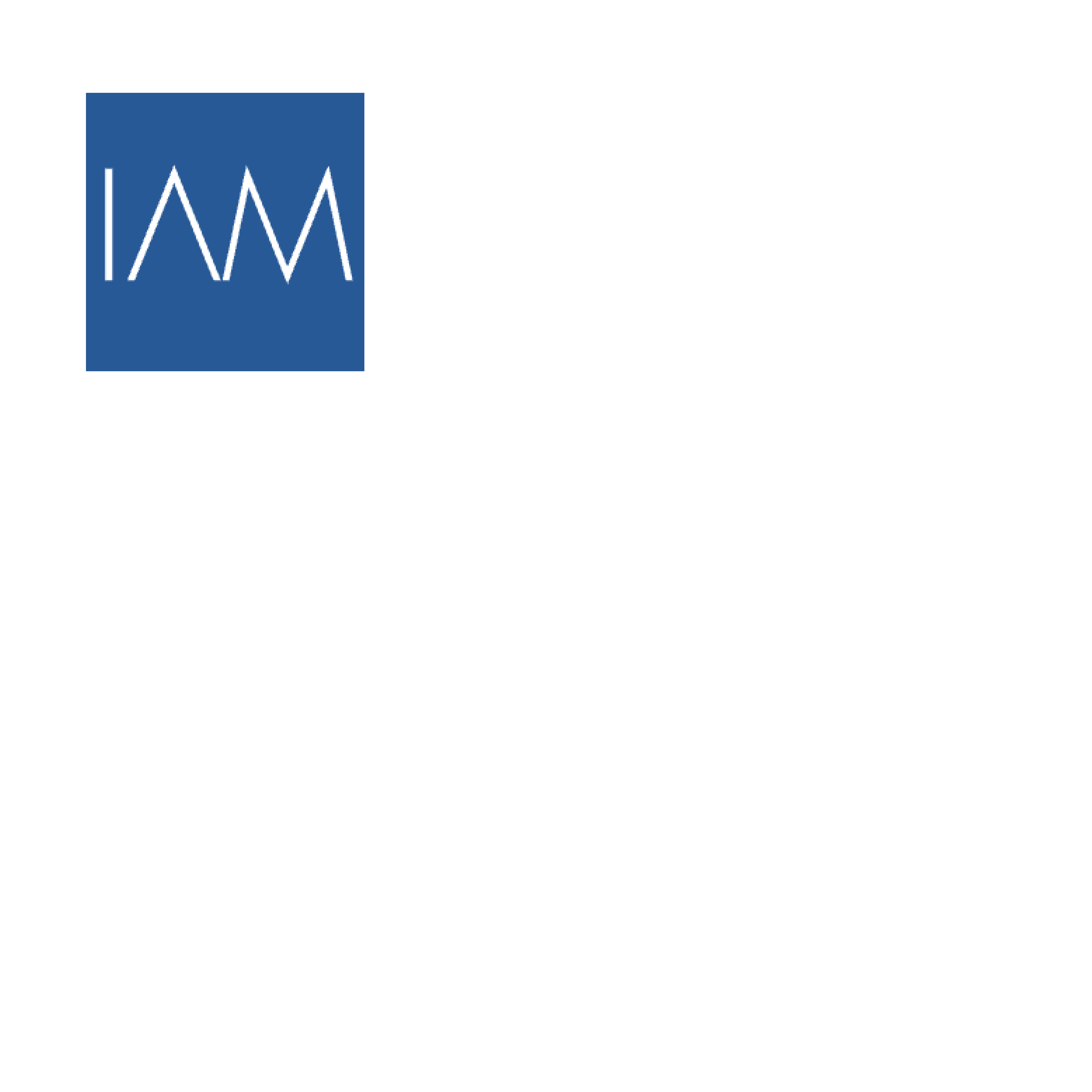 IAMCultureCare 4